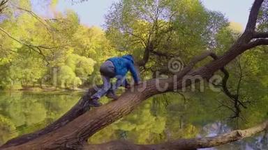 男孩在公园池塘附近爬树